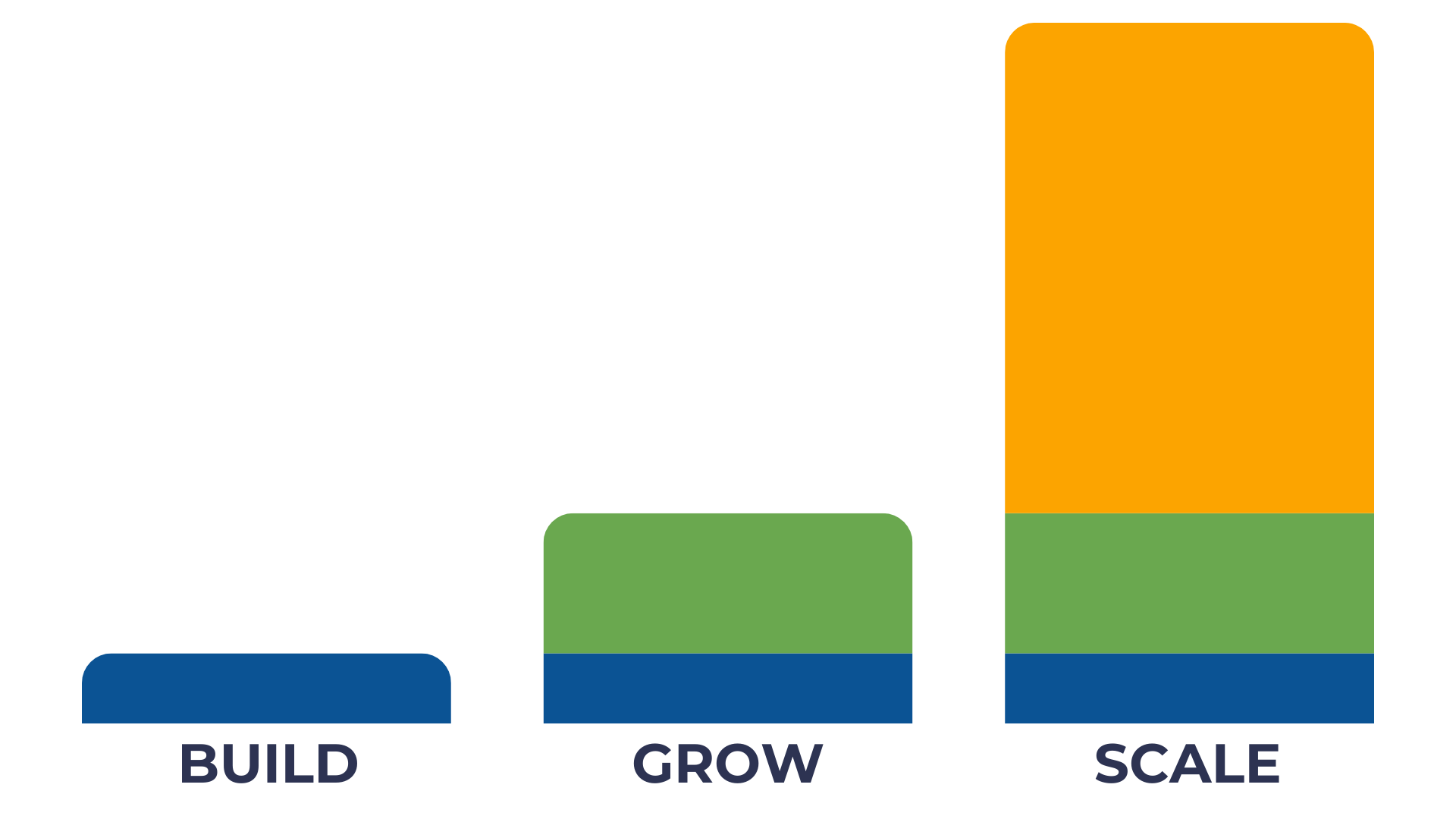 BUILD GROW SCALE